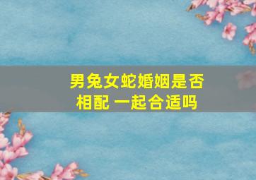 男兔女蛇婚姻是否相配 一起合适吗